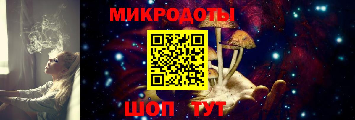 Псилоцибиновые грибы Cubensis  Вход с VPN  Бузулук 